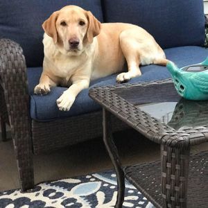 Meet your Posher, Patti